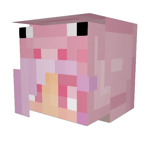 imapignow Minecraft avatar head, 3D render