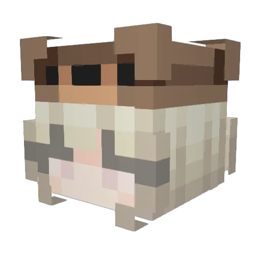 imatchia Minecraft avatar head, 3D render