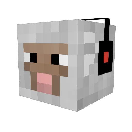 imatronitx Minecraft avatar head, 3D render