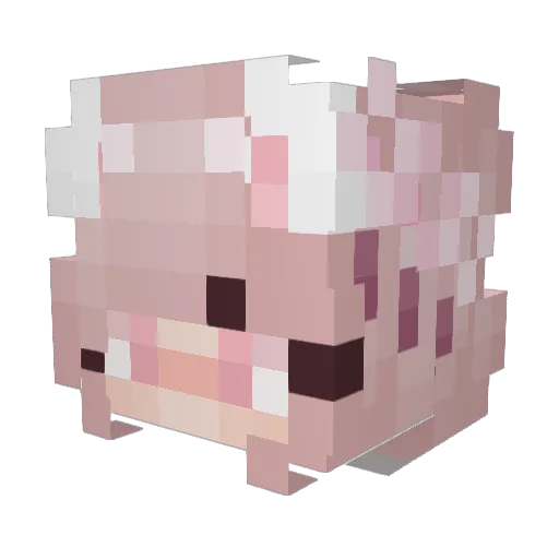 imawolly Minecraft avatar head, 3D render