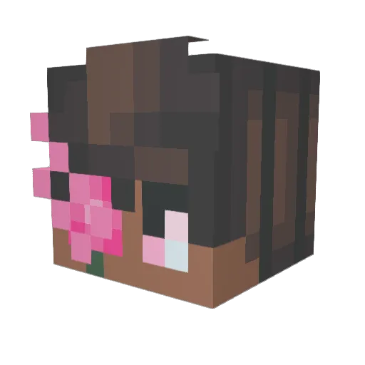 imb4by Minecraft avatar head, 3D render