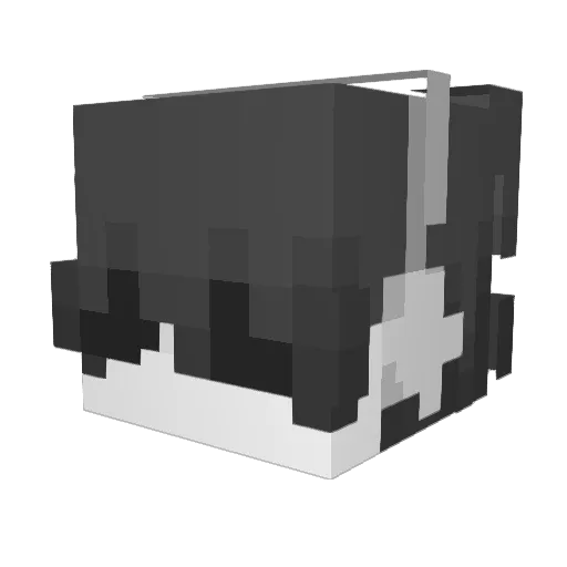 imbadSpeedtelly Minecraft avatar head, 3D render