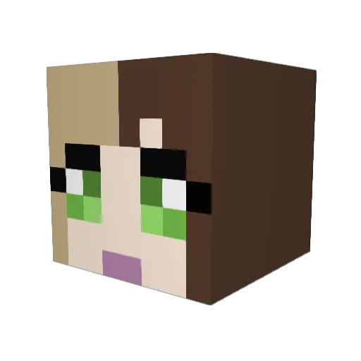 imbirek Minecraft avatar head, 3D render