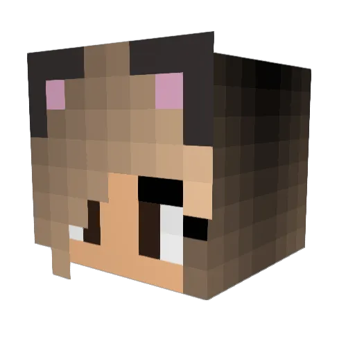 imdahairqueen Minecraft avatar head, 3D render