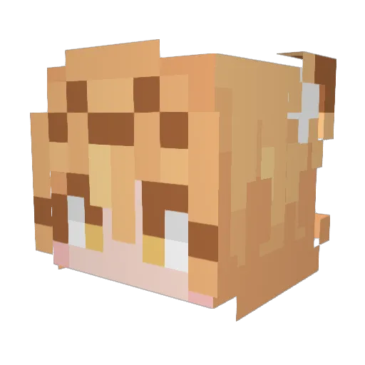 imdezly Minecraft avatar head, 3D render