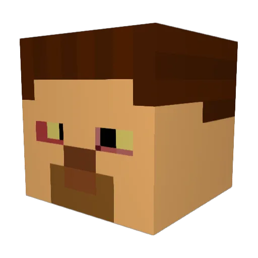 imdrainer Minecraft avatar head, 3D render