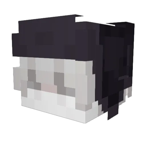 imeanWig Minecraft avatar head, 3D render