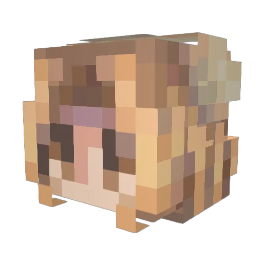 imeatingsoup Minecraft avatar head, 3D render