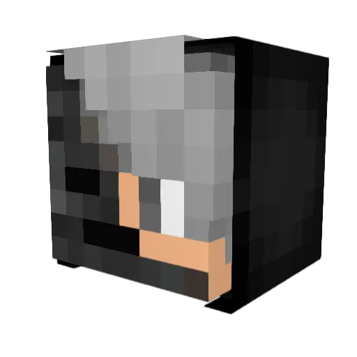 imfriendswithsam Minecraft avatar head, 3D render