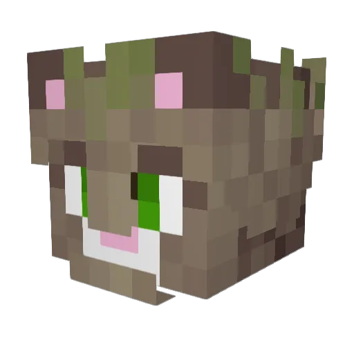 imgrooot Minecraft avatar head, 3D render