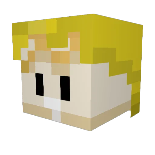 imhidee_ Minecraft avatar head, 3D render