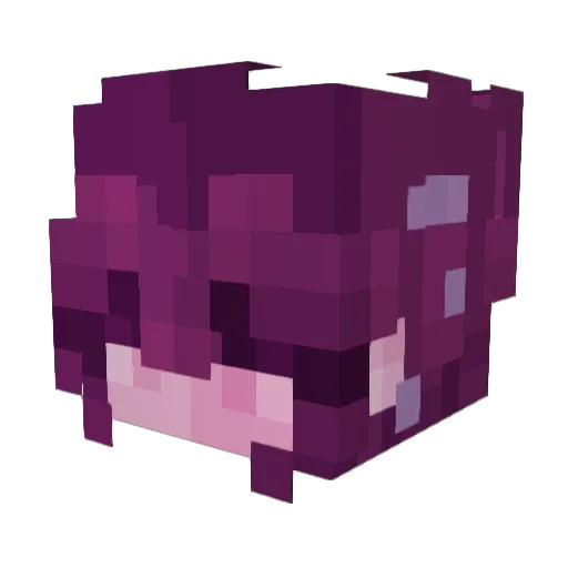 imindwarp Minecraft avatar head, 3D render
