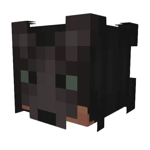 imintrouble3 Minecraft avatar head, 3D render
