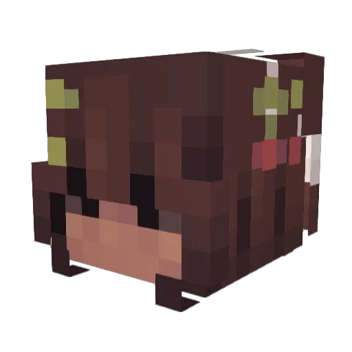 immasueyou Minecraft avatar head, 3D render