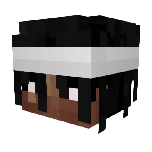 immatakeanap_lmk Minecraft avatar head, 3D render