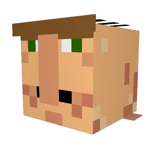 immigrantBalls Minecraft avatar head, 3D render