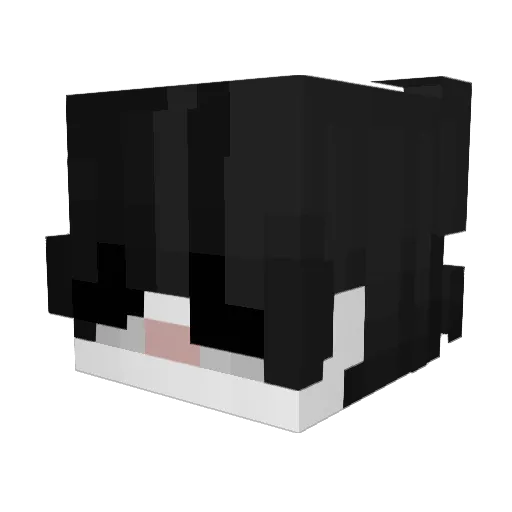 immortal0s Minecraft avatar head, 3D render