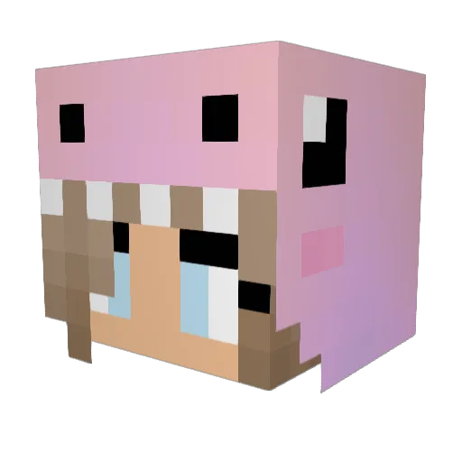 immortal2002 Minecraft avatar head, 3D render