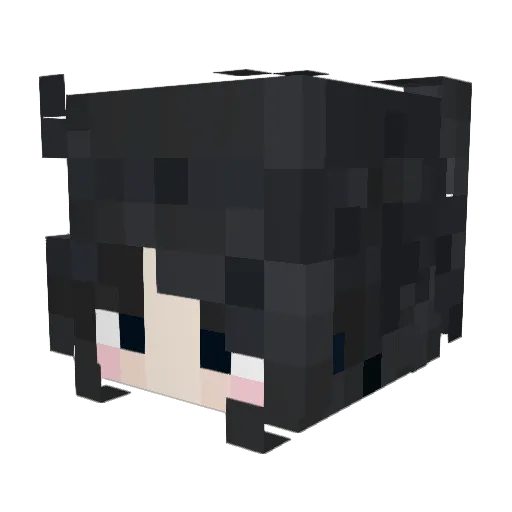 immortalizer9 Minecraft avatar head, 3D render