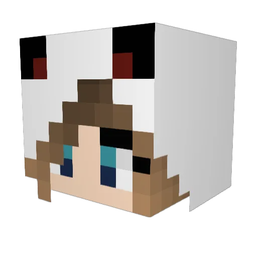 immyplaysMC Minecraft avatar head, 3D render