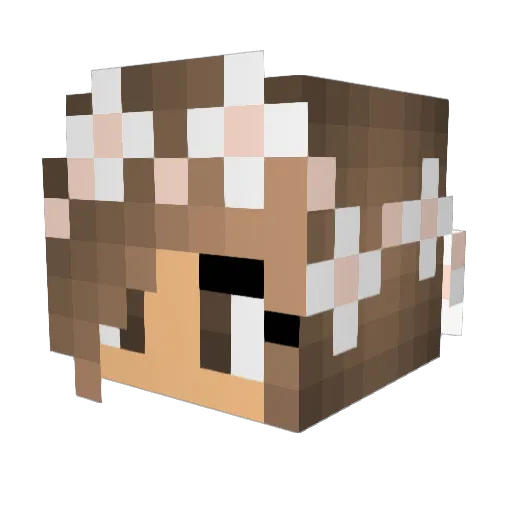 immyxk Minecraft avatar head, 3D render