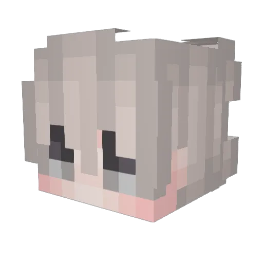 imnotAR15 Minecraft avatar head, 3D render
