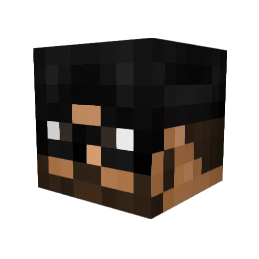 imnot_sk Minecraft avatar head, 3D render
