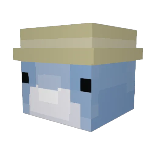 imnotadolphin Minecraft avatar head, 3D render