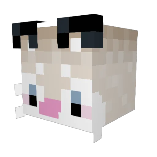 imnotandie1 Minecraft avatar head, 3D render