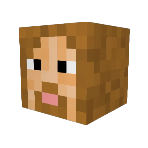 imnotascammer Minecraft avatar head, 3D render