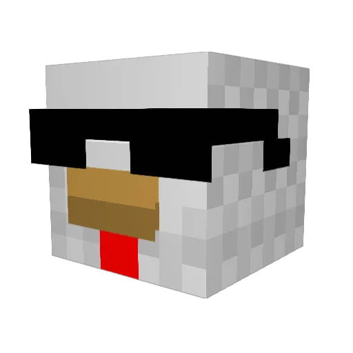 imnotautistic_ Minecraft avatar head, 3D render