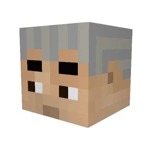 imnotgay1 Minecraft avatar head, 3D render
