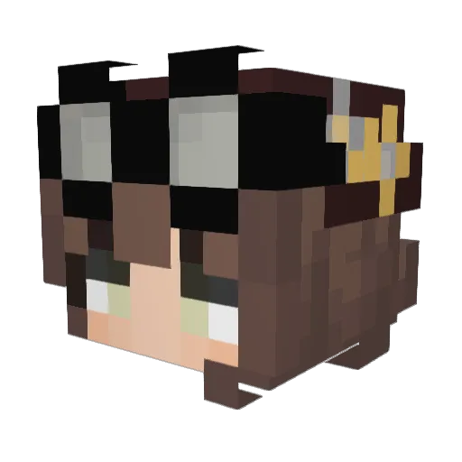 imnotphia Minecraft avatar head, 3D render