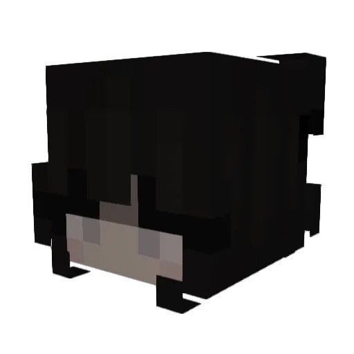 imnotshort_ Minecraft avatar head, 3D render