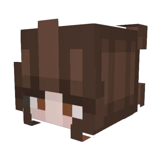 imogenec25 Minecraft avatar head, 3D render