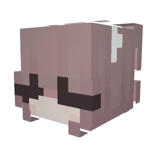 imojane Minecraft avatar head, 3D render