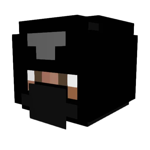 impulse1293 Minecraft avatar head, 3D render