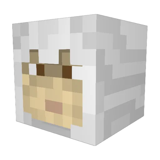 imre1911 Minecraft avatar head, 3D render