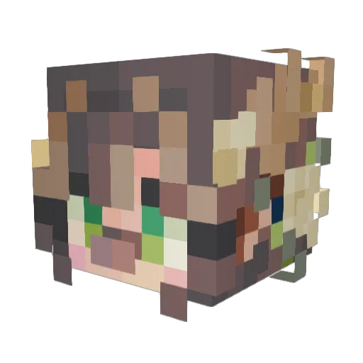 imscaredoffruit Minecraft avatar head, 3D render