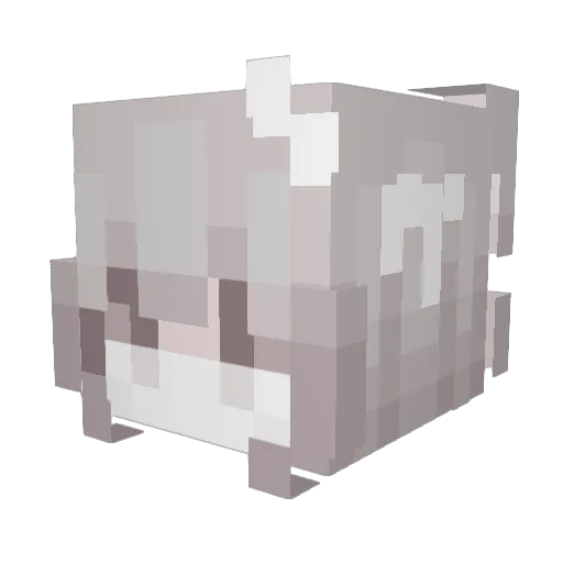 imsck Minecraft avatar head, 3D render