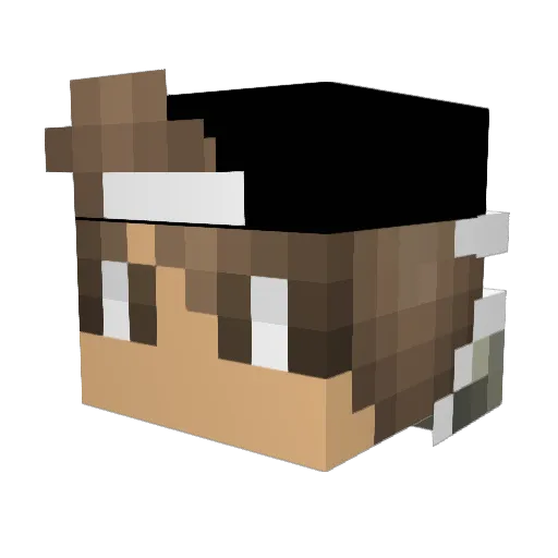 imsilem Minecraft avatar head, 3D render