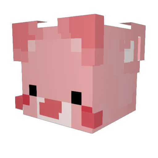 imsorryvivi Minecraft avatar head, 3D render