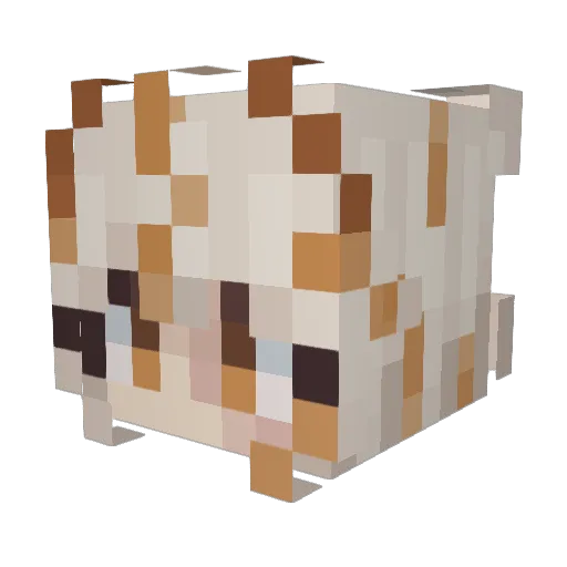 imtaho Minecraft avatar head, 3D render