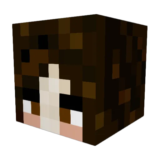 imtired245 Minecraft avatar head, 3D render