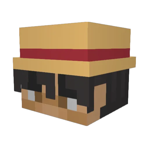 imwinnie Minecraft avatar head, 3D render