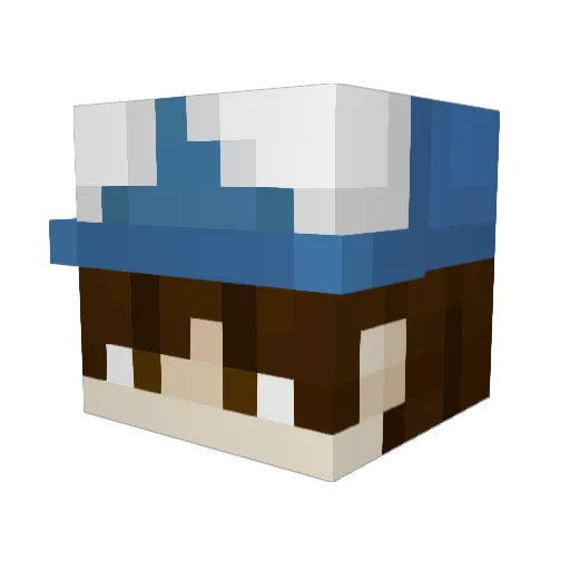 imzohranmamdani Minecraft avatar head, 3D render