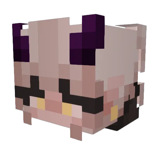 inSEMinat Minecraft avatar head, 3D render