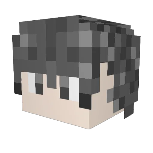 in_nae Minecraft avatar head, 3D render