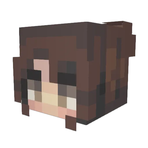 in_nokkla Minecraft avatar head, 3D render