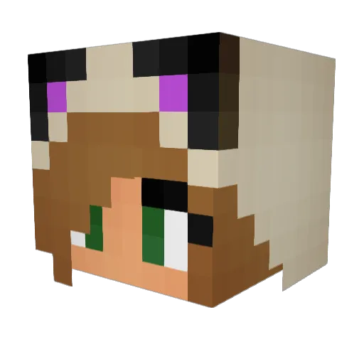 ina11223344 Minecraft avatar head, 3D render